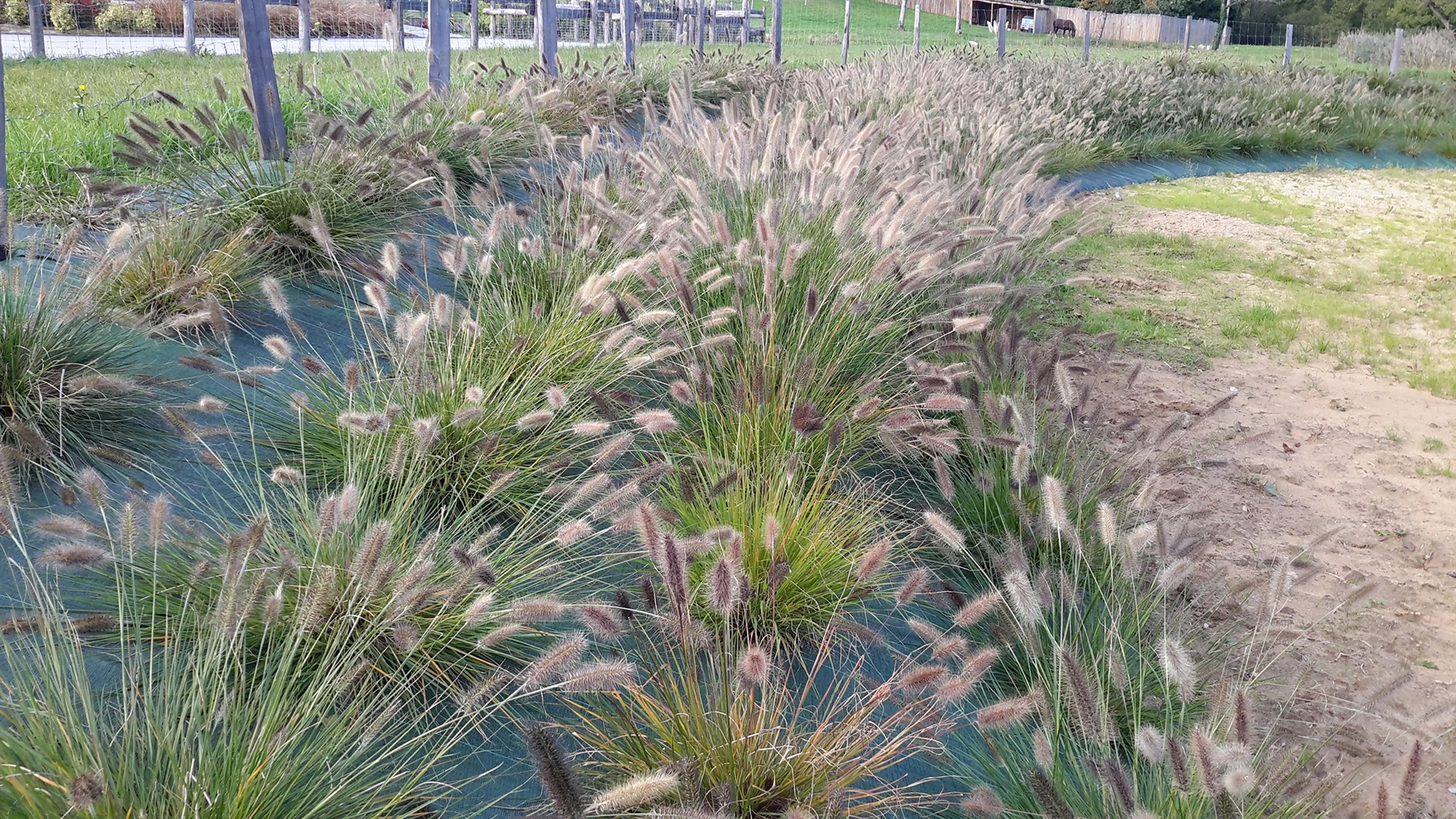 Arôme Paysage entretien votre jardin dans le 85