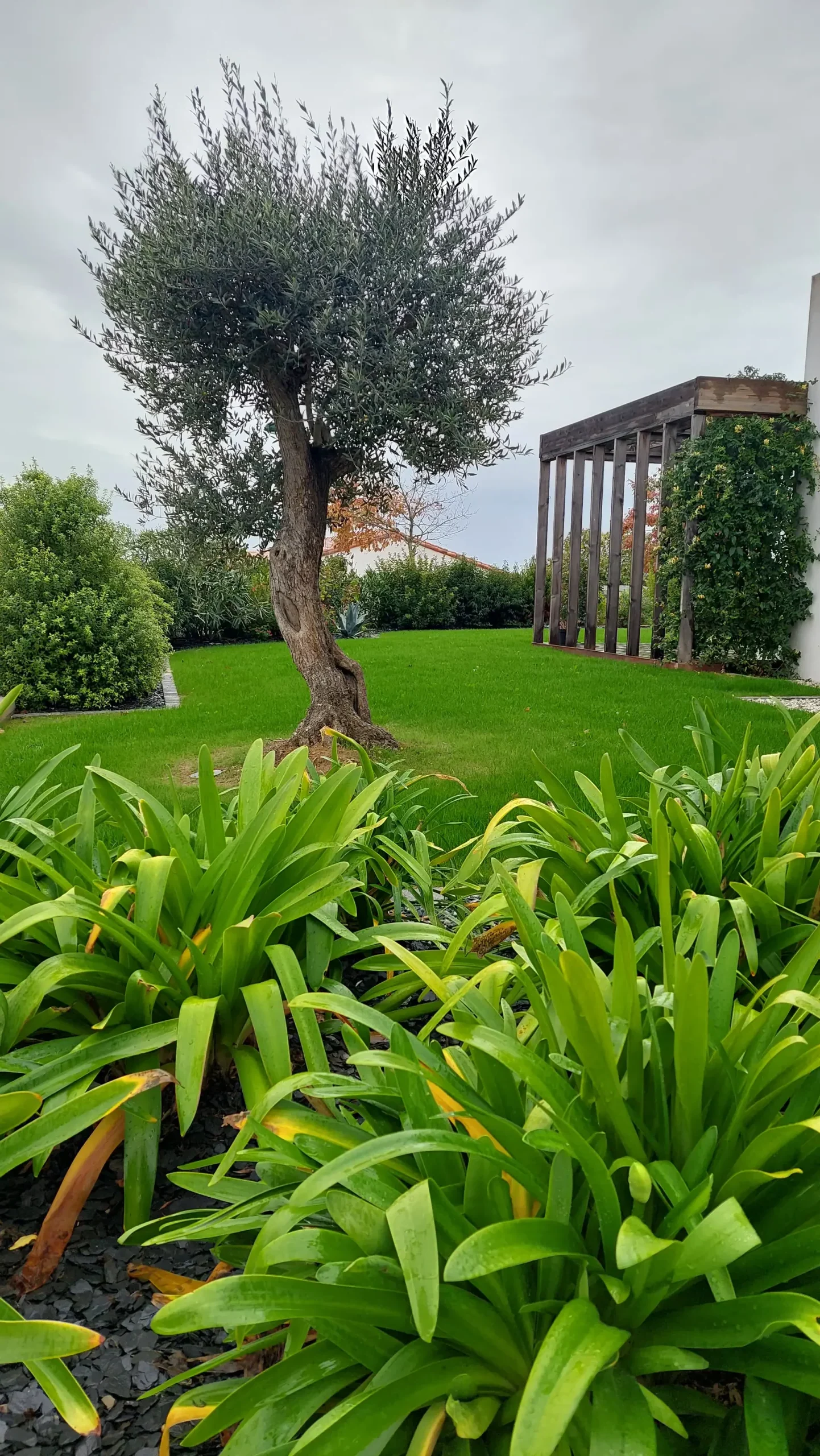 Realisation-arome-paysage-engazonement (1)